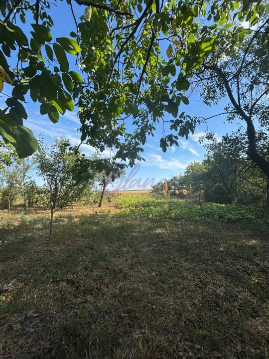 Casa de locuit în Tășnad, zonă liniștită 