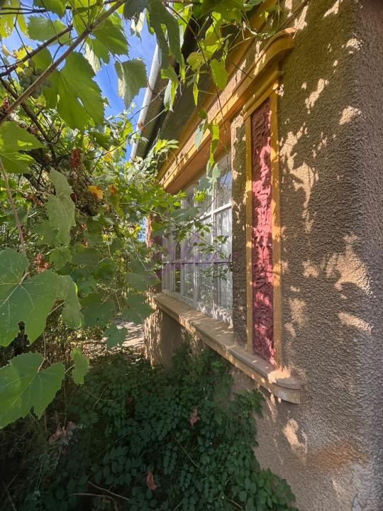 Casa de locuit în Tășnad, zonă liniștită 