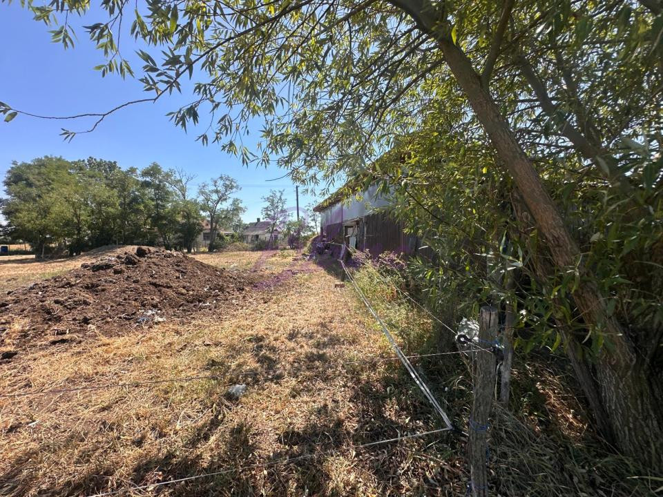 Proprietate de închiriat – 1,5 Ha + căsuță, Craidorolt, SM