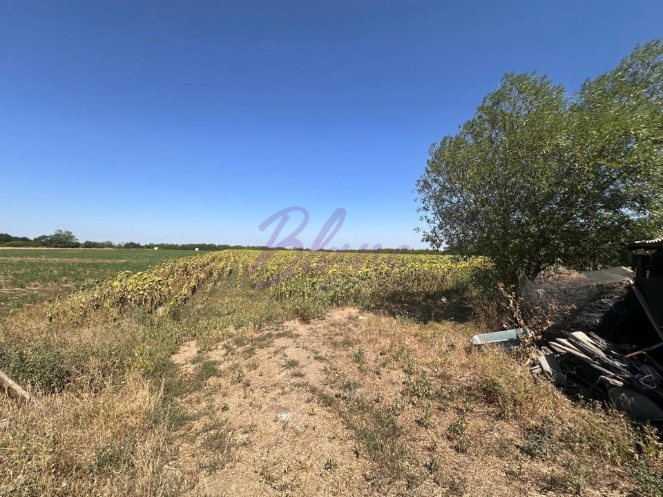 Proprietate de închiriat – 1,5 Ha + căsuță, Craidorolt, SM