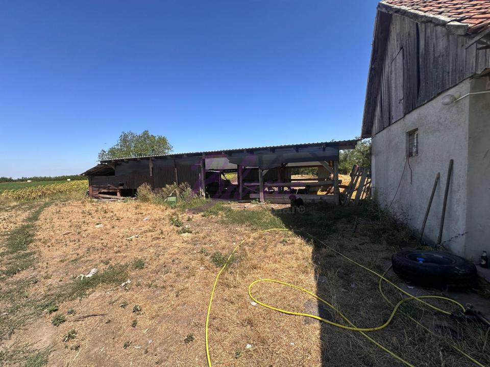 Proprietate de închiriat – 1,5 Ha + căsuță, Craidorolt, SM