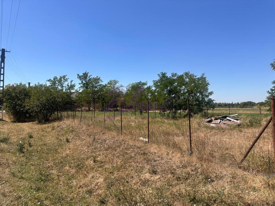Proprietate de închiriat – 1,5 Ha + căsuță, Craidorolt, SM