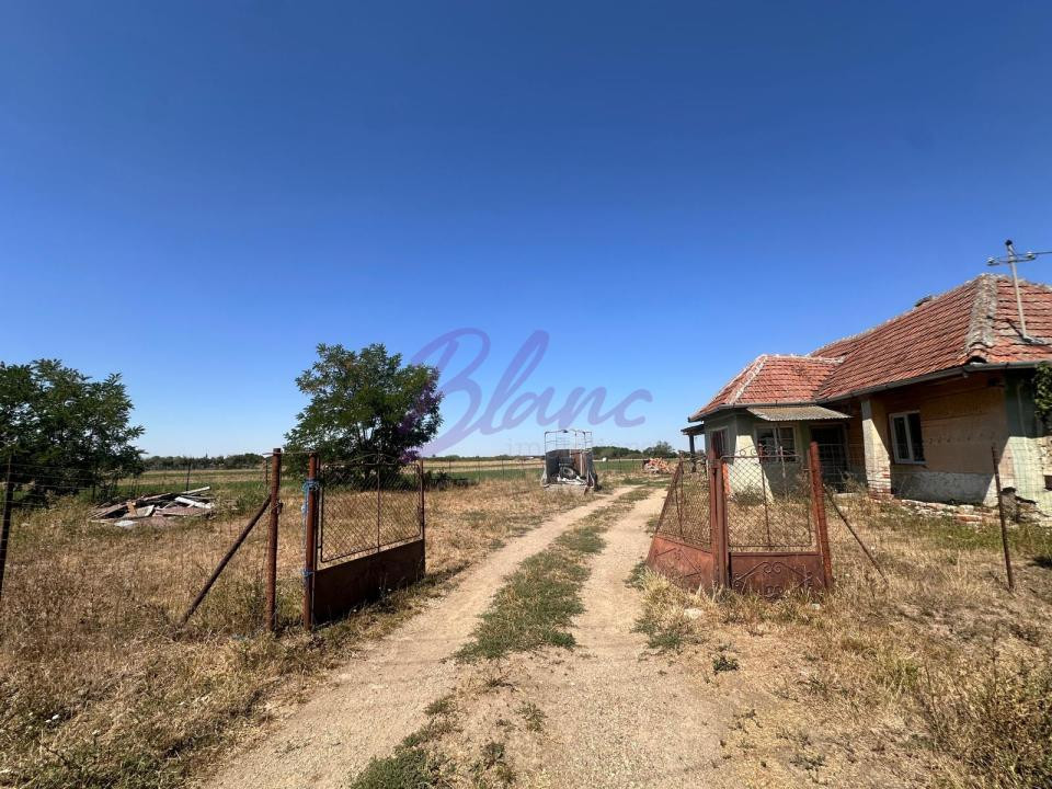 Proprietate de închiriat – 1,5 Ha + căsuță, Craidorolt, SM
