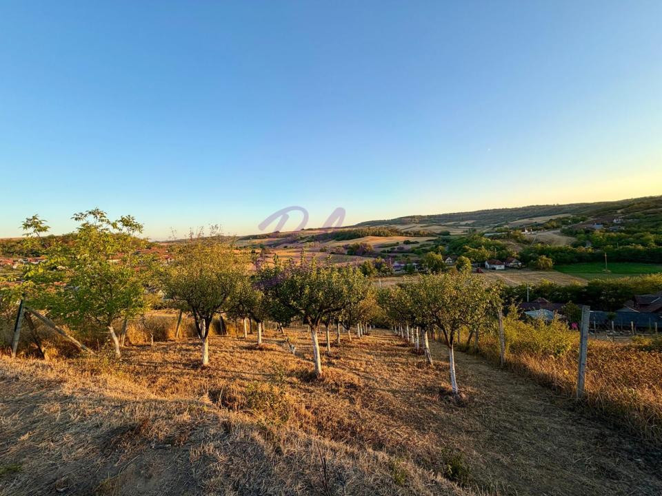 Casă cu 2 corpuri și teren 1.620 mp – Burzuc, Bihor