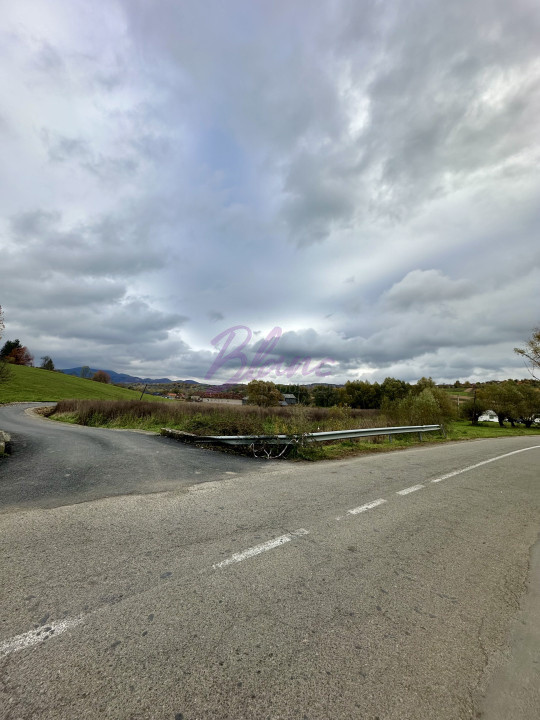 Teren intravilan 3.749 mp – Beznea, com. Bratca, jud. Bihor