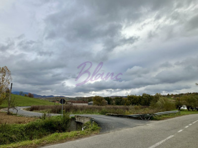 Teren intravilan 3.749 mp – Beznea, com. Bratca, jud. Bihor